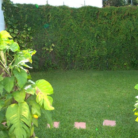 Beautiful Jungle House On A Strategic Location Villa Cancun Exterior photo